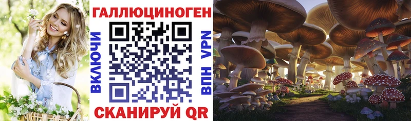 Галлюциногенные грибы GOLDEN TEACHER  Сковородино 