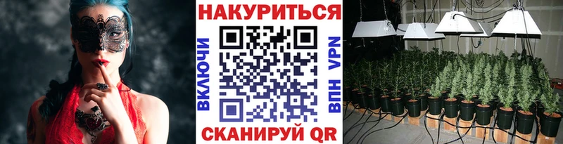 Шишки марихуана конопля  где купить наркоту  Сковородино 